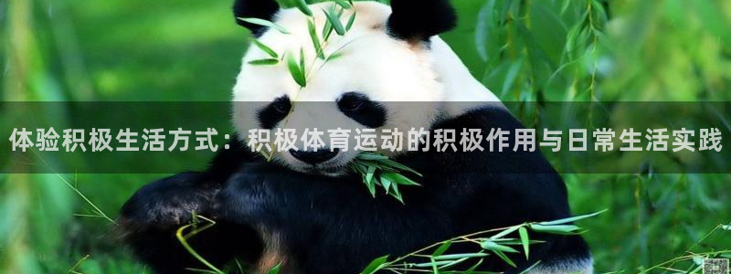 杏耀体育凯捷平台招商