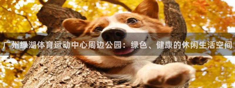 杏耀主管
