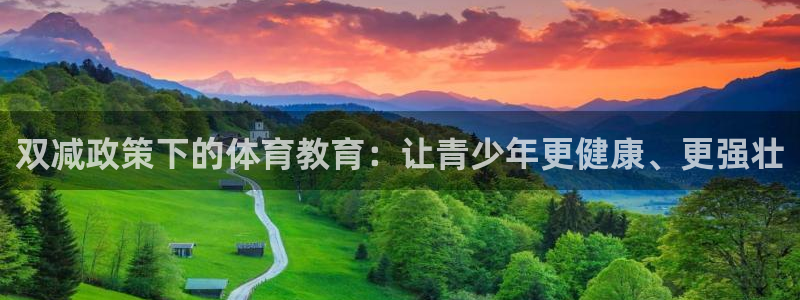 成都杏耀电子有限公司