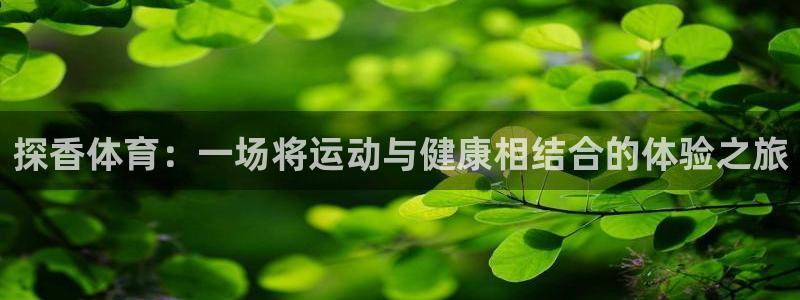 杏耀4开户