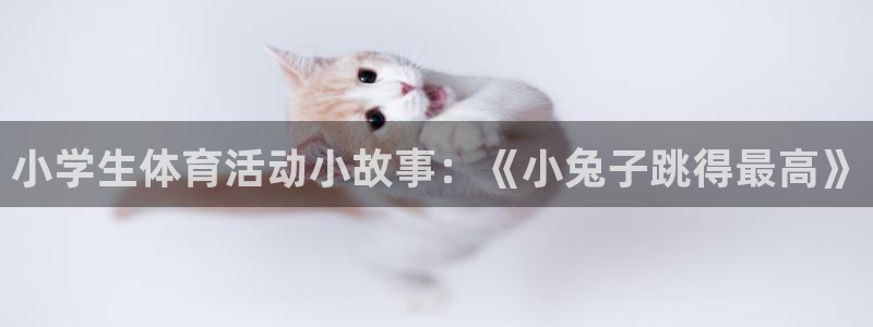 杏耀2代理注册