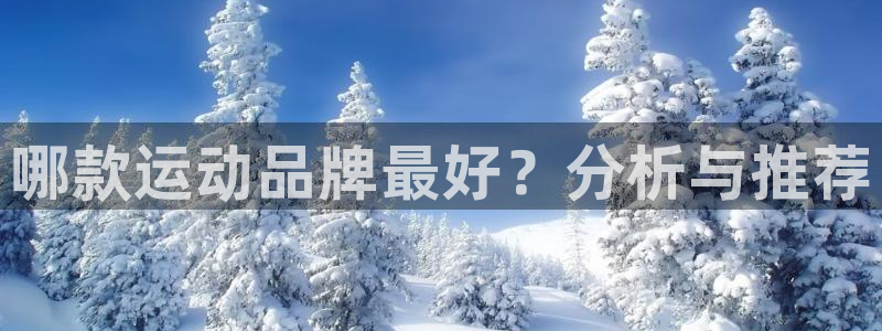杏耀体育2官网入口