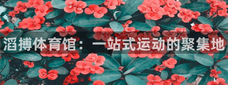 杏耀客户端登录
