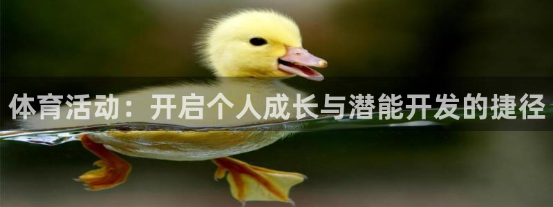 杏耀5
