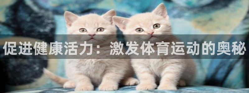 杏耀代理注册官网入口