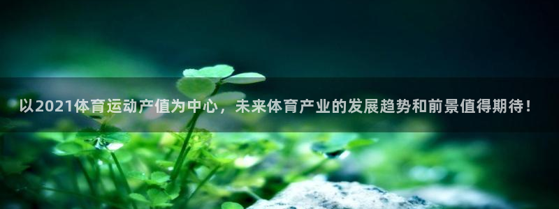 杏耀体育1招商