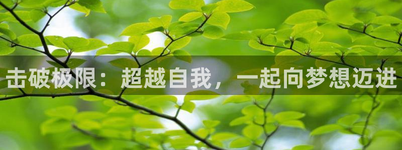 杏耀体育老板是谁