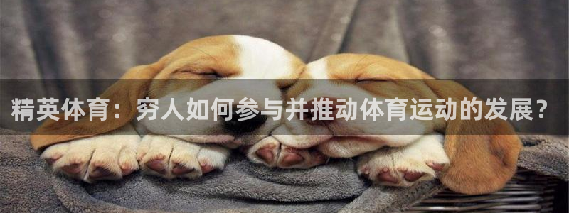杏耀测速登录地址