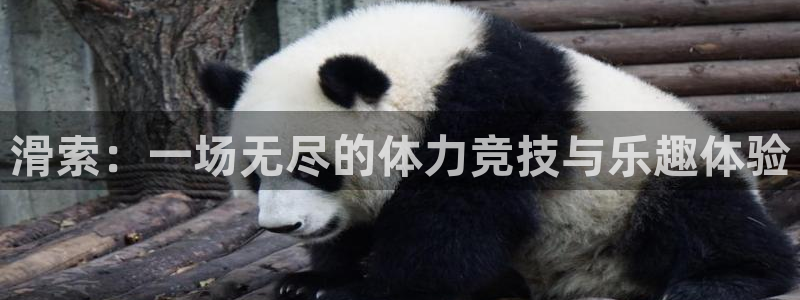 杏耀账号注册官网入口