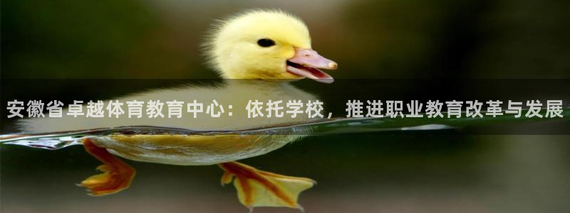 杏耀平台登录网址